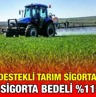 tuik_kriter_haber