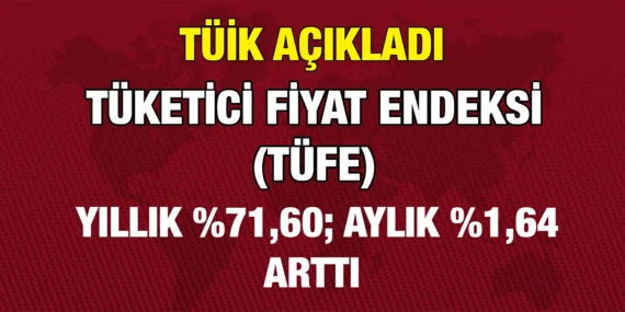 TÜKETİCİ FİYAT ENDEKSİ, HAZİRAN 2024