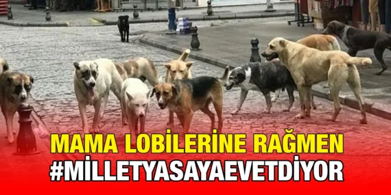 MİLLET YASAYA EVET DİYOR!