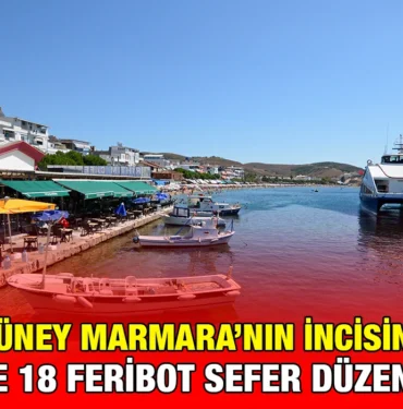 avsa_kriter_haber