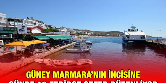 AVŞA ADASI’NA MİSAFİR AKINI!