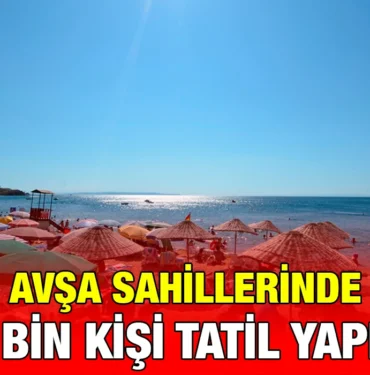 avsa_kriter_haber