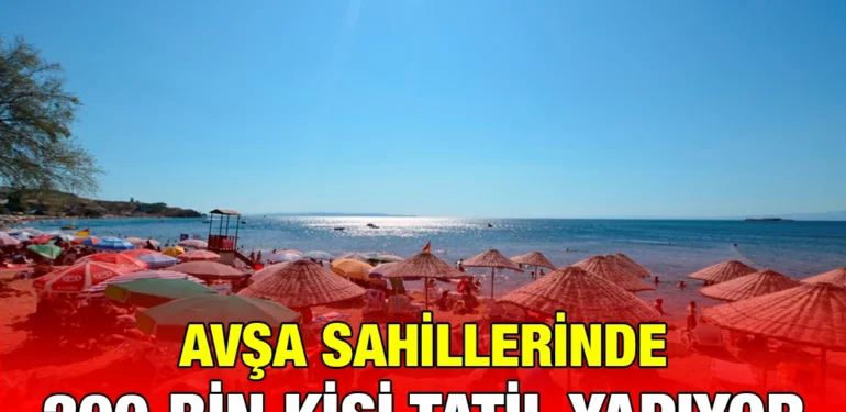 avsa_kriter_haber