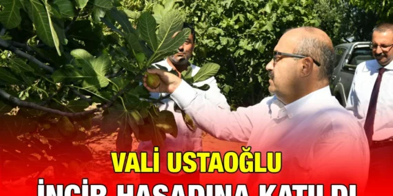 USTAOĞLU HAVRAN’DAYDI