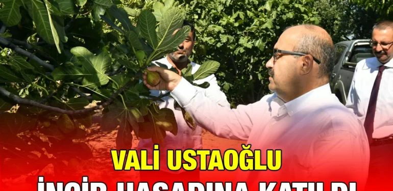 incir_kriter_haber