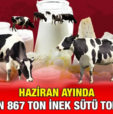 indir_kriter_haber