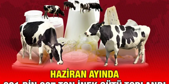 HAZİRAN 2024 SÜT ÜRÜNLERİ ÜRETİMİ