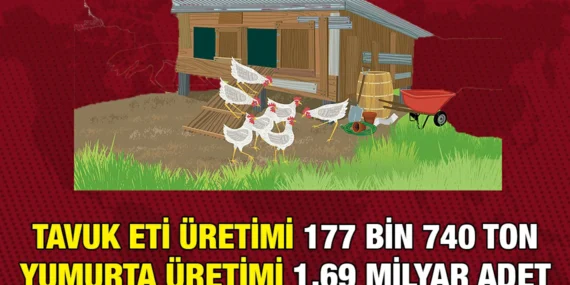 KÜMES HAYVANCILIĞI ÜRETİMİ HAZİRAN 2024