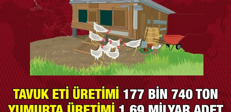 kümes_kriter_haber