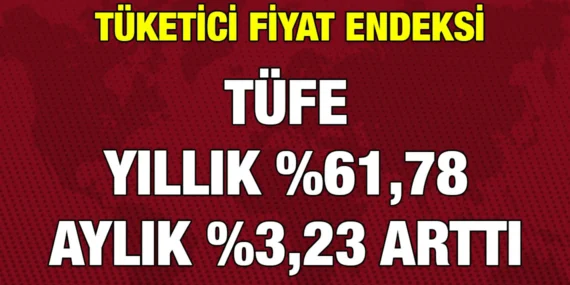TÜKETİCİ FİYAT ENDEKSİ, TEMMUZ 2024