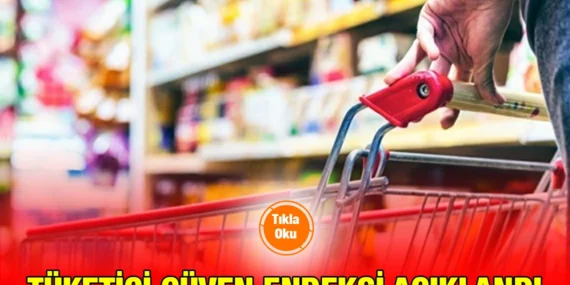 TÜKETİCİ GÜVEN ENDEKSİ, TEMMUZ 2024