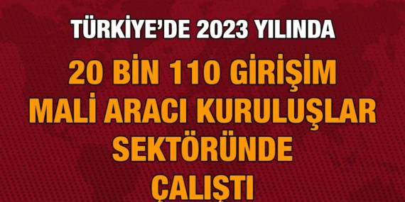 MALİ ARACI KURULUŞ İSTATİSTİKLERİ, 2023