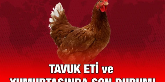 KÜMES HAYVANCILIĞI VERİLERİ, TEMMUZ 2024