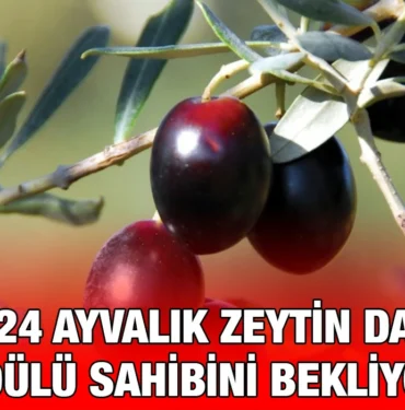 yarisma_kriter-haber