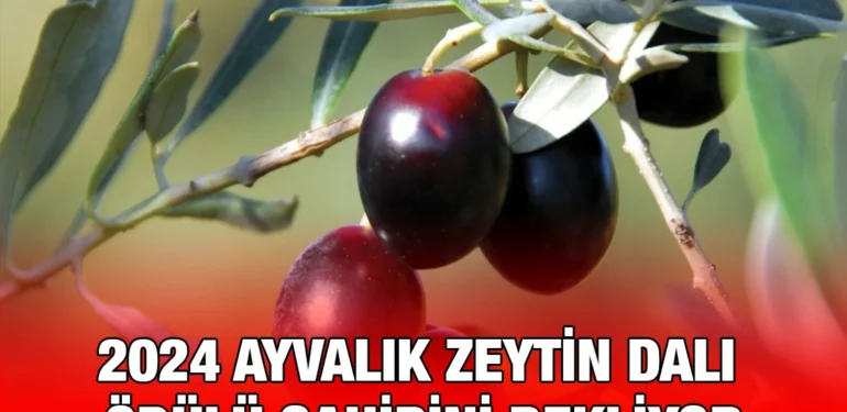 yarisma_kriter-haber