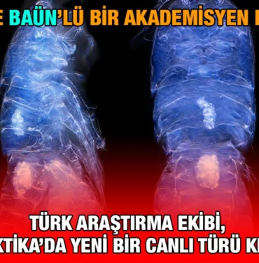 baun_kare_kriter_haber