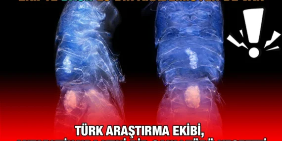 Türk Araştırma Ekibi, Antarktika’da Yeni Bir Canlı Türü Keşfetti