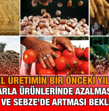 bitkisel_kriter_haber