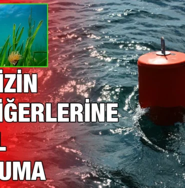 deniz_kriter_haber