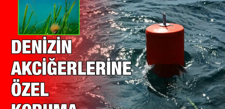 deniz_kriter_haber