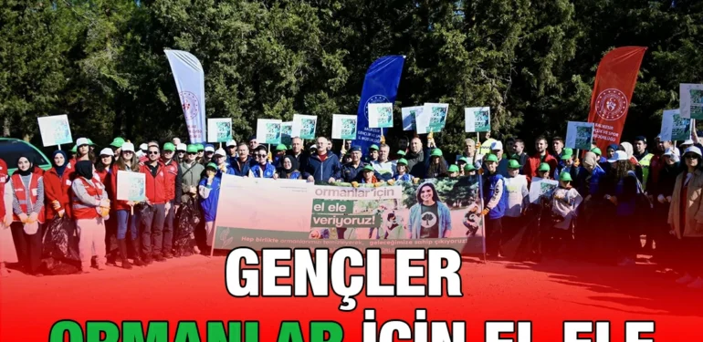 gsb_kriter_haber