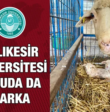 kuzu_kriter_haber
