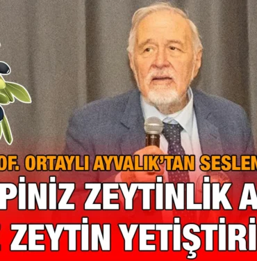 ortayli_kriter_haber