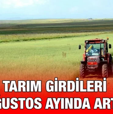 tarim_kriter_haber
