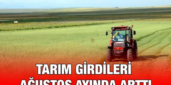 Tarımsal Girdi Fiyat Endeksi, Ağustos 2024