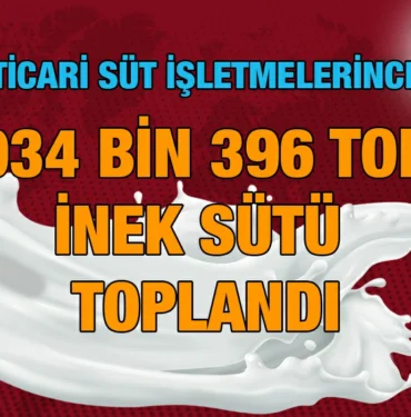 tuik_kriter_haber