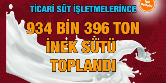 Süt ve Süt Ürünleri Üretimi, Ağustos 2024