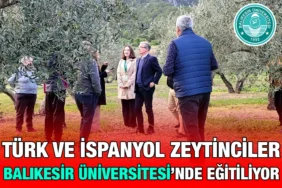 zeytin_kriter_haber