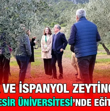 zeytin_kriter_haber