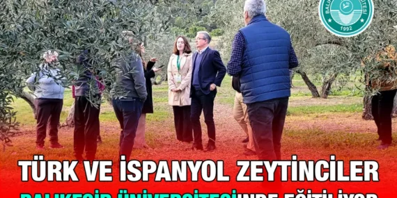 zeytin_kriter_haber