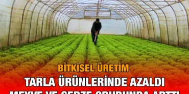 bu_kriter-haber