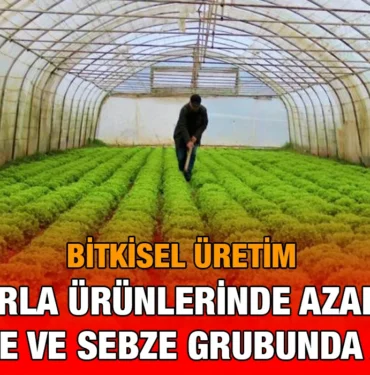 bu_kriter-haber
