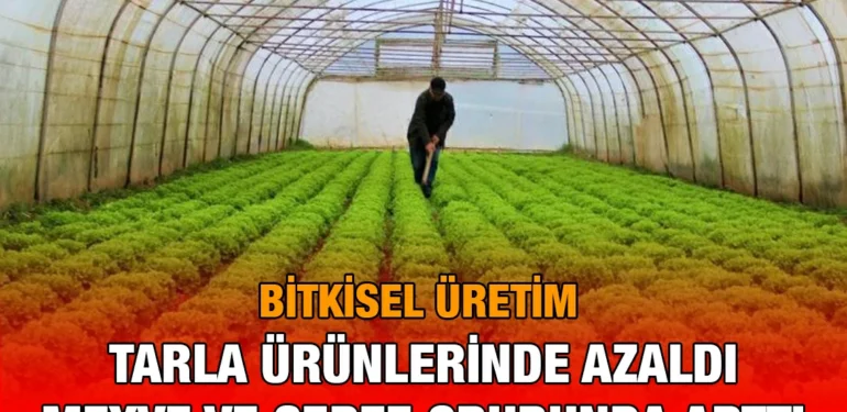 bu_kriter-haber