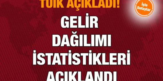 Gelir Dağılımı İstatistikleri, 2024