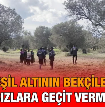 ya_kriter_haber
