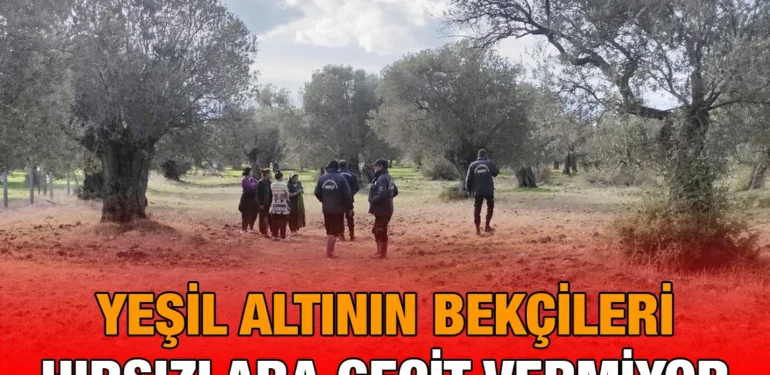 ya_kriter_haber