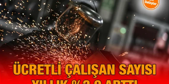 Ücretli Çalışan İstatistikleri, Kasım 2024