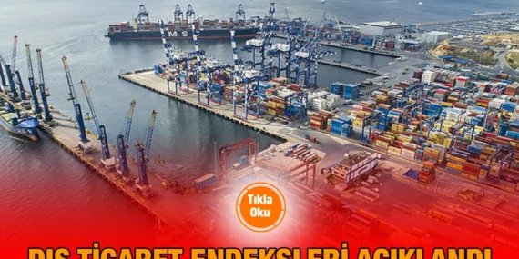 Dış Ticaret Endeksleri, Kasım 2024