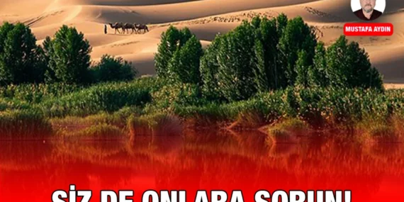 Sen de Sor!
