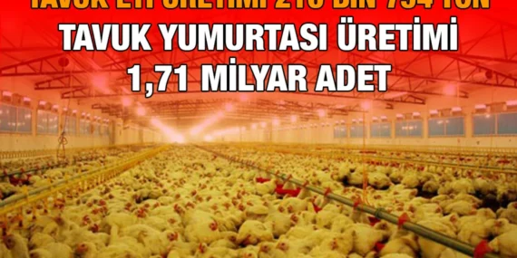 Kümes Hayvancılığı Üretimi, Kasım 2024