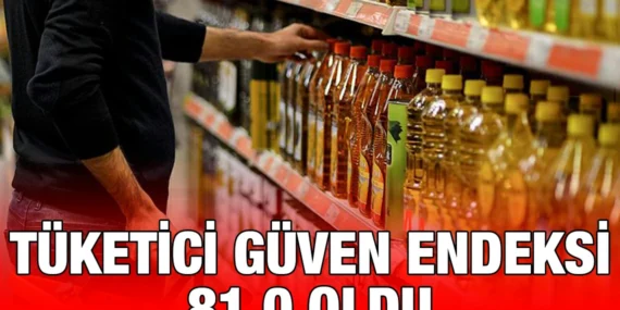 Tüketici Güven Endeksi, Ocak 2025