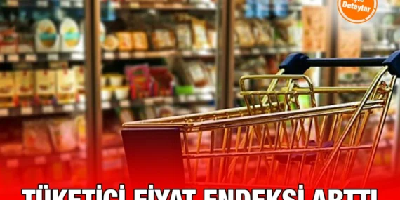 Tüketici Fiyat Endeksi, Aralık 2024