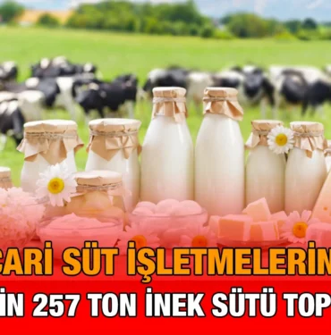 tuik_kriter_haber