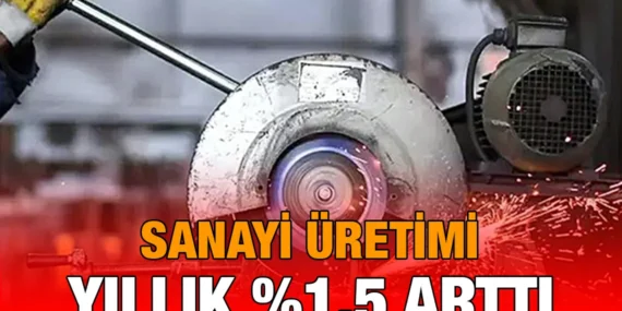 Sanayi Üretim Endeksi, Kasım 2024