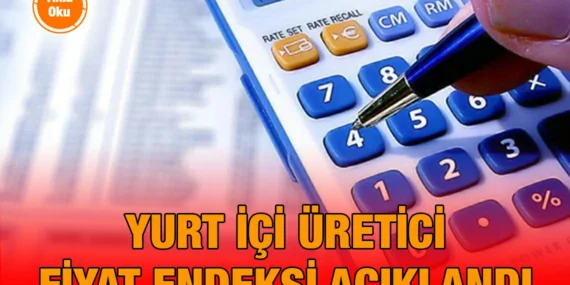 Yurt İçi Üretici Fiyat Endeksi, Aralık 2024