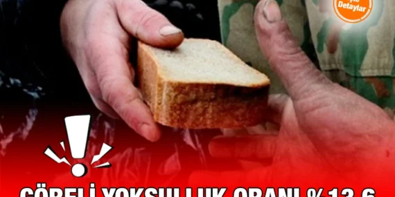Yoksulluk ve Yaşam Koşulları İstatistikleri, 2024